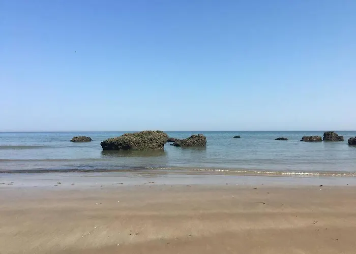Joli Studio Vue Mer , Plage Au Bout De La Rue !